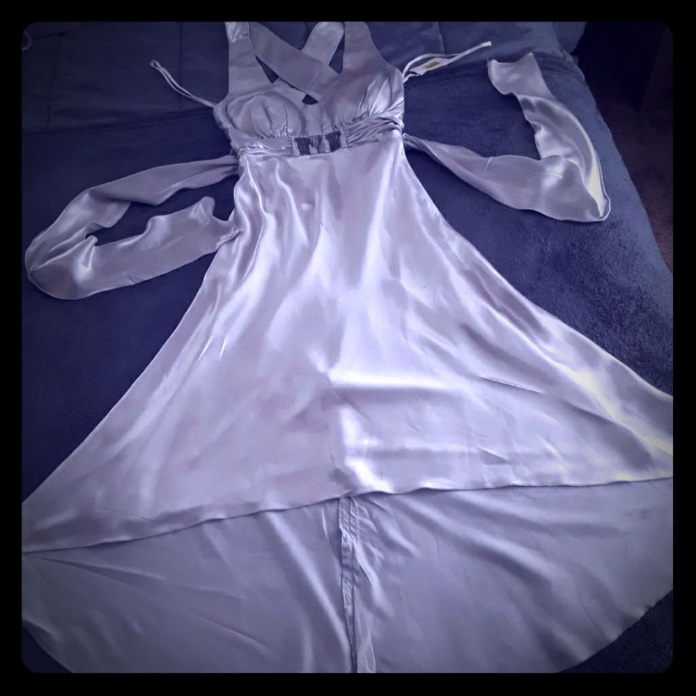 Elegant Silver Evening Dress/gown